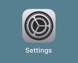 iPad_settings_icon.png